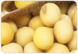 3-remedies-for-hormone-imbalance-2