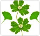 3-ways-balance-progesterone-levels-2