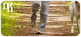 Walking can boost natural hormone production.