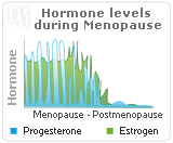 Progesterone and You: The Dangers of Progesterone Imbalance