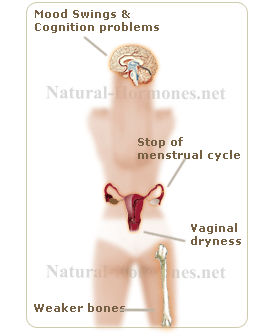 Estrogen Imbalance and Congnition Problems