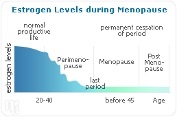 estrogen menopause