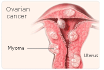 estrogen vagina