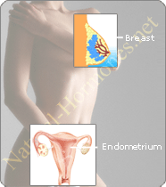Hormone Replacement Therapy