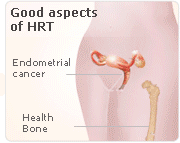 hrt endometrial