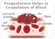 hrt progesterone roles