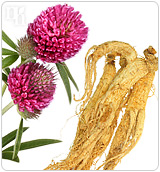 Herbs like red clover or ginseng introduce plant-like estrogen into the body.