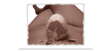 Progesterone Natural Hormones