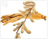 Phytoestrogens mimic the effects of estrogen in the body.