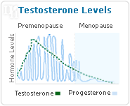 Testosterone Levels In Women